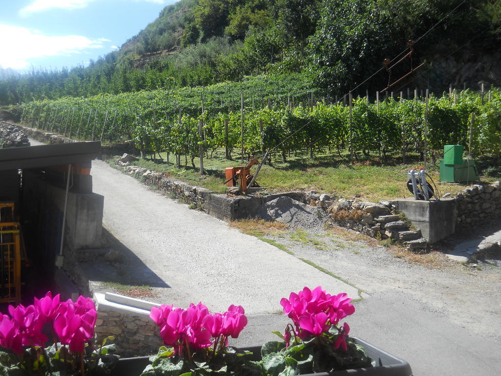 Villa di Tirano La Vita In Campagna מראה חיצוני תמונה