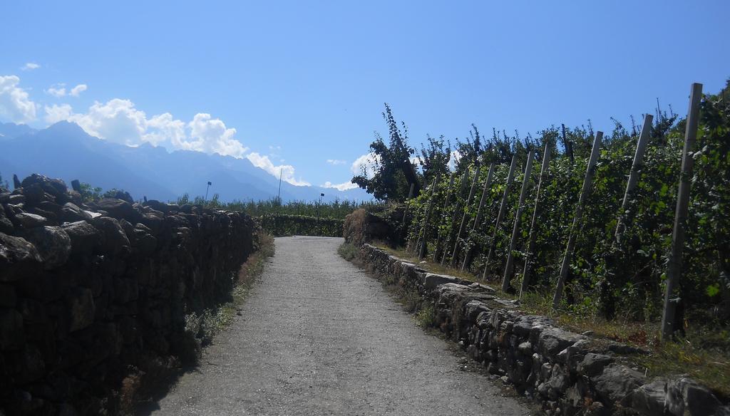 Villa di Tirano La Vita In Campagna מראה חיצוני תמונה