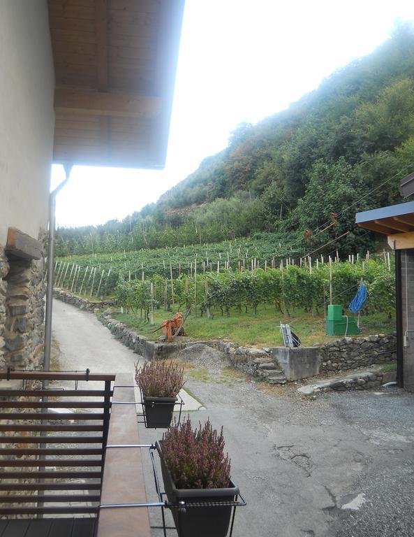 Villa di Tirano La Vita In Campagna חדר תמונה